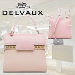 DELVAUX★テンペテ偽物 PM カマイウ★2way★ローズ